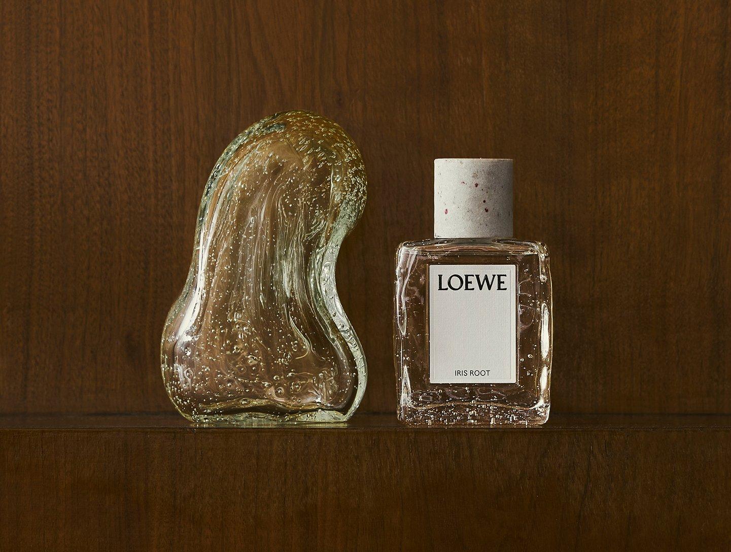 Iris Root by Loewe Loewe