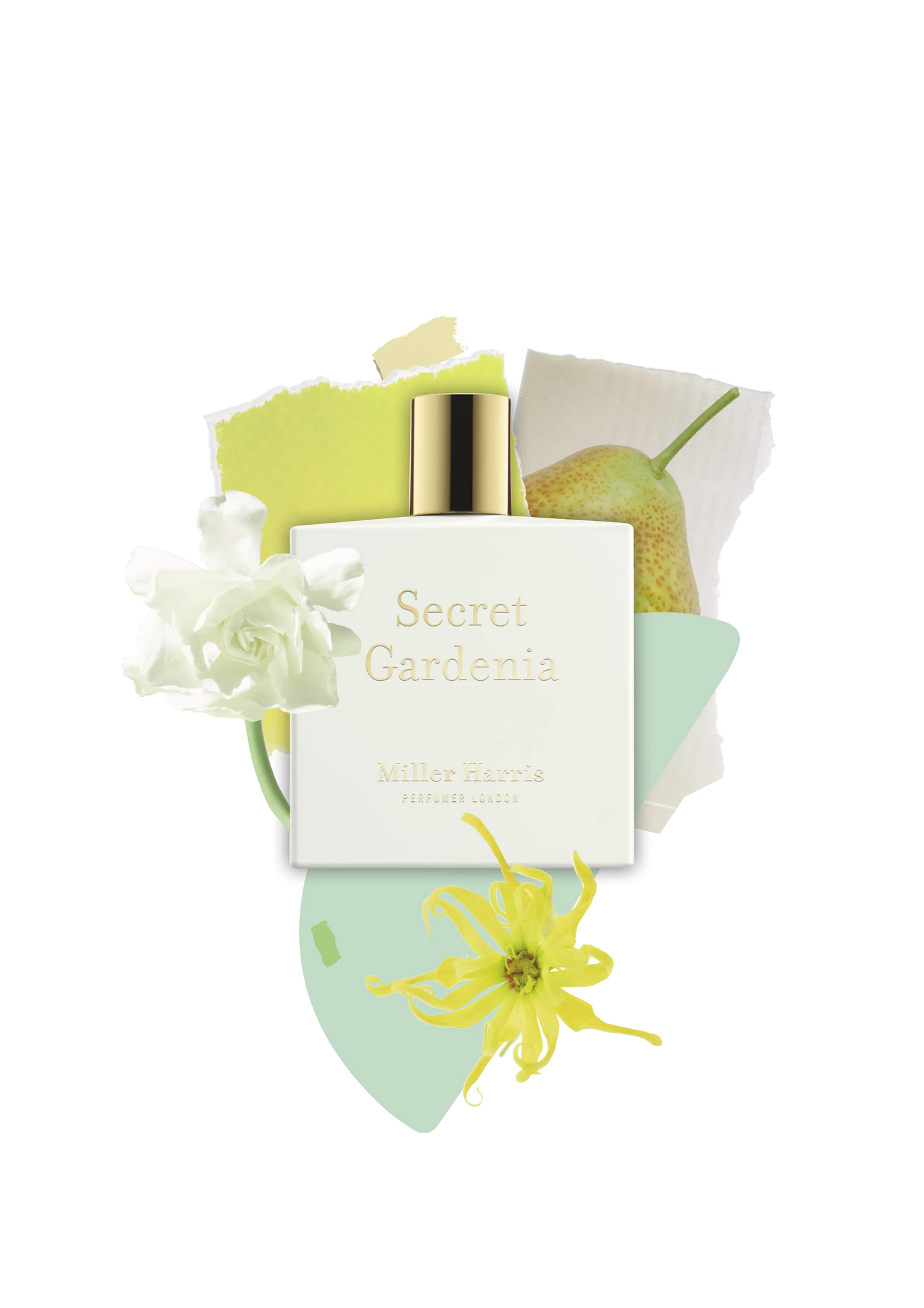 Secret Gardenia - A floral, aquatic fragrance: 50ml Miller Harris Perfumer London