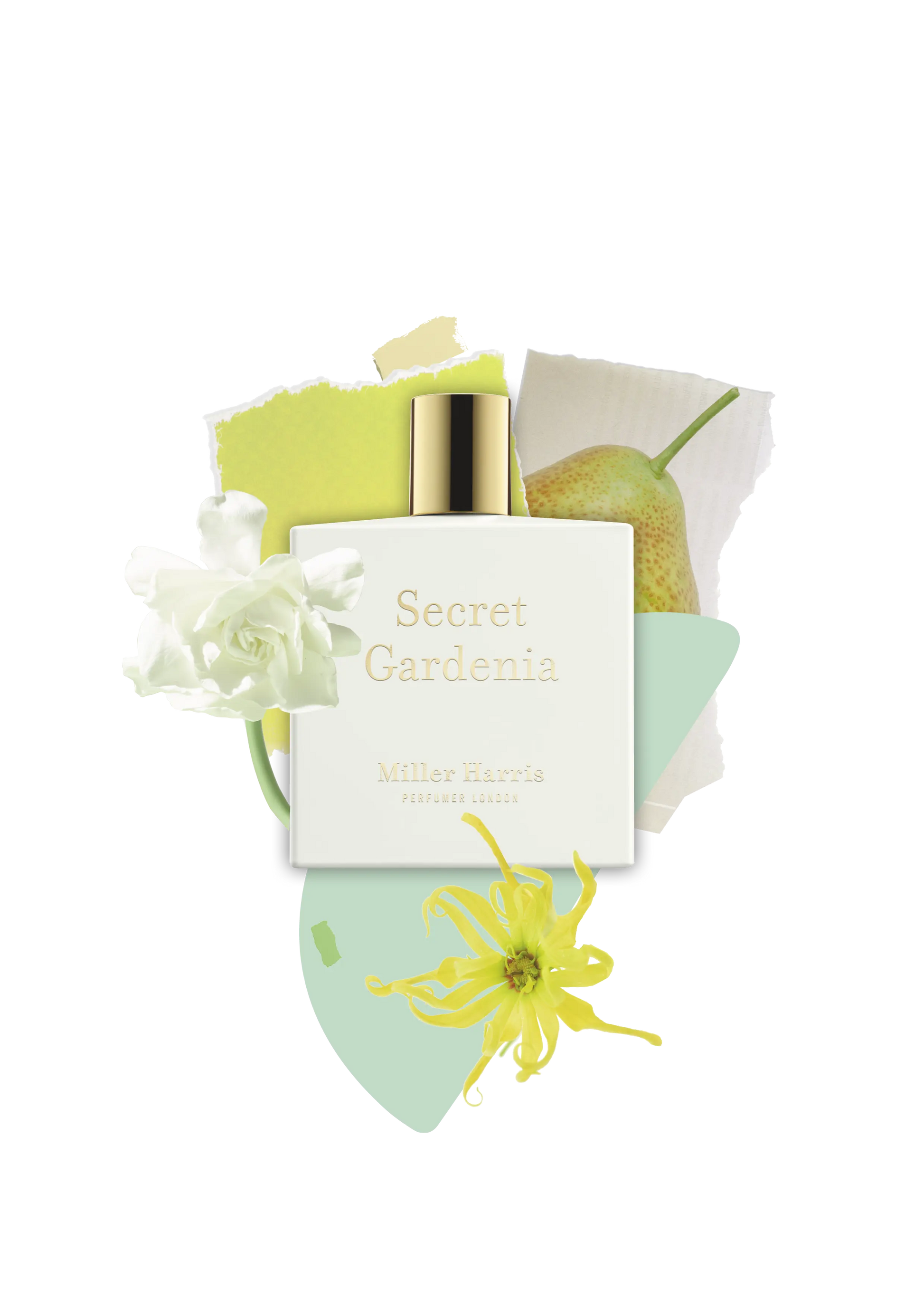 Secret Gardenia - A floral, aquatic fragrance: 50ml Miller Harris Perfumer London