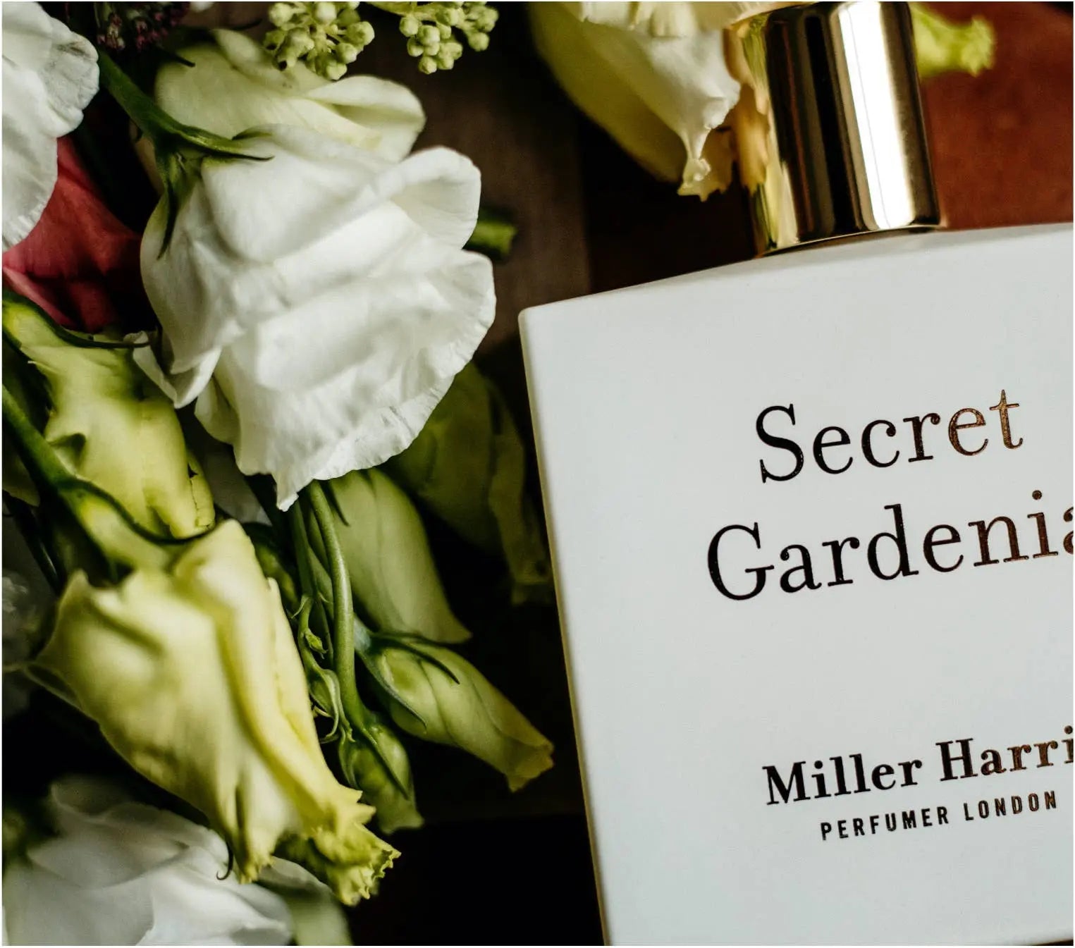 Secret Gardenia - A floral, aquatic fragrance: 50ml Miller Harris Perfumer London