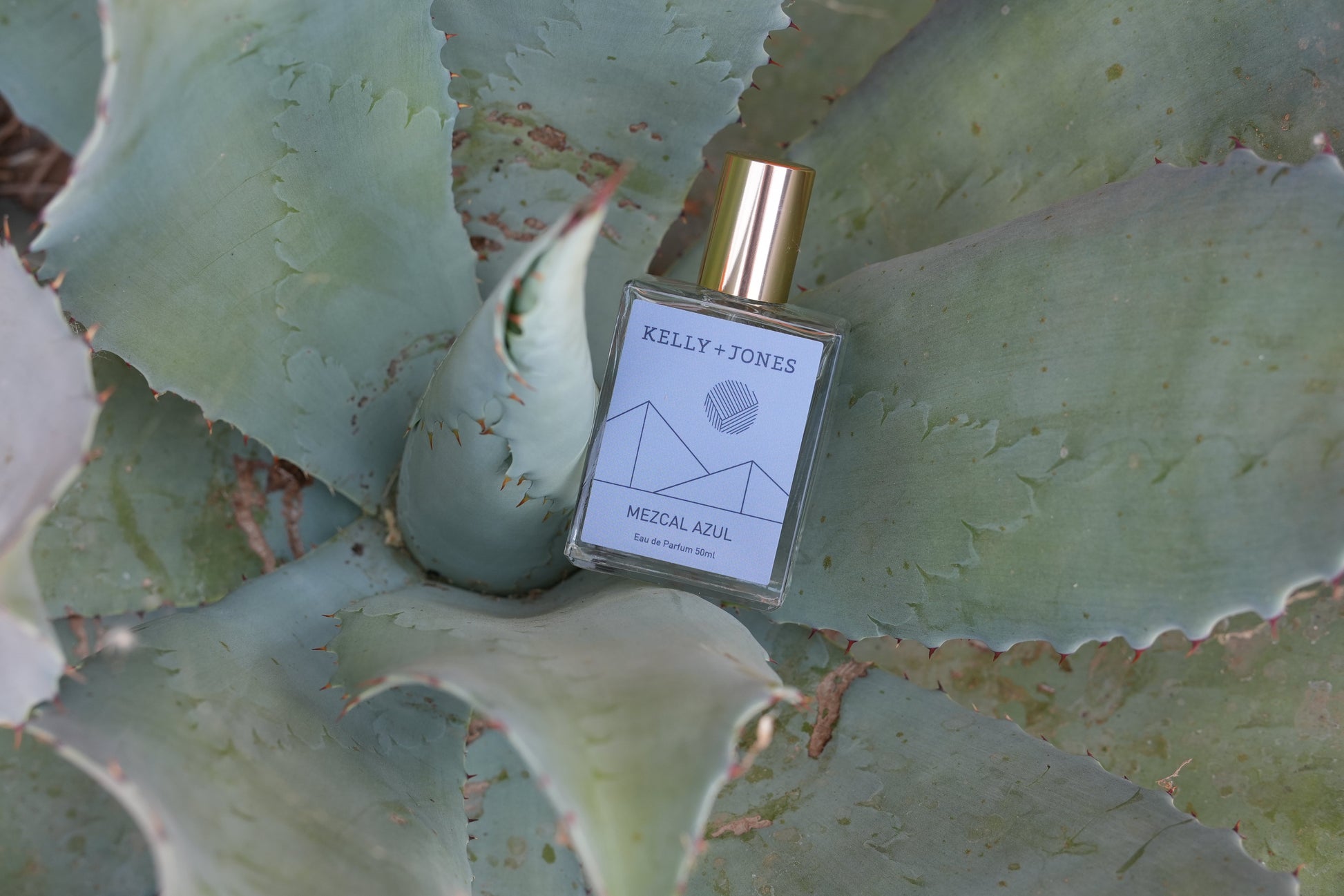 MEZCAL GOLD: AZUL Kelly+Jones