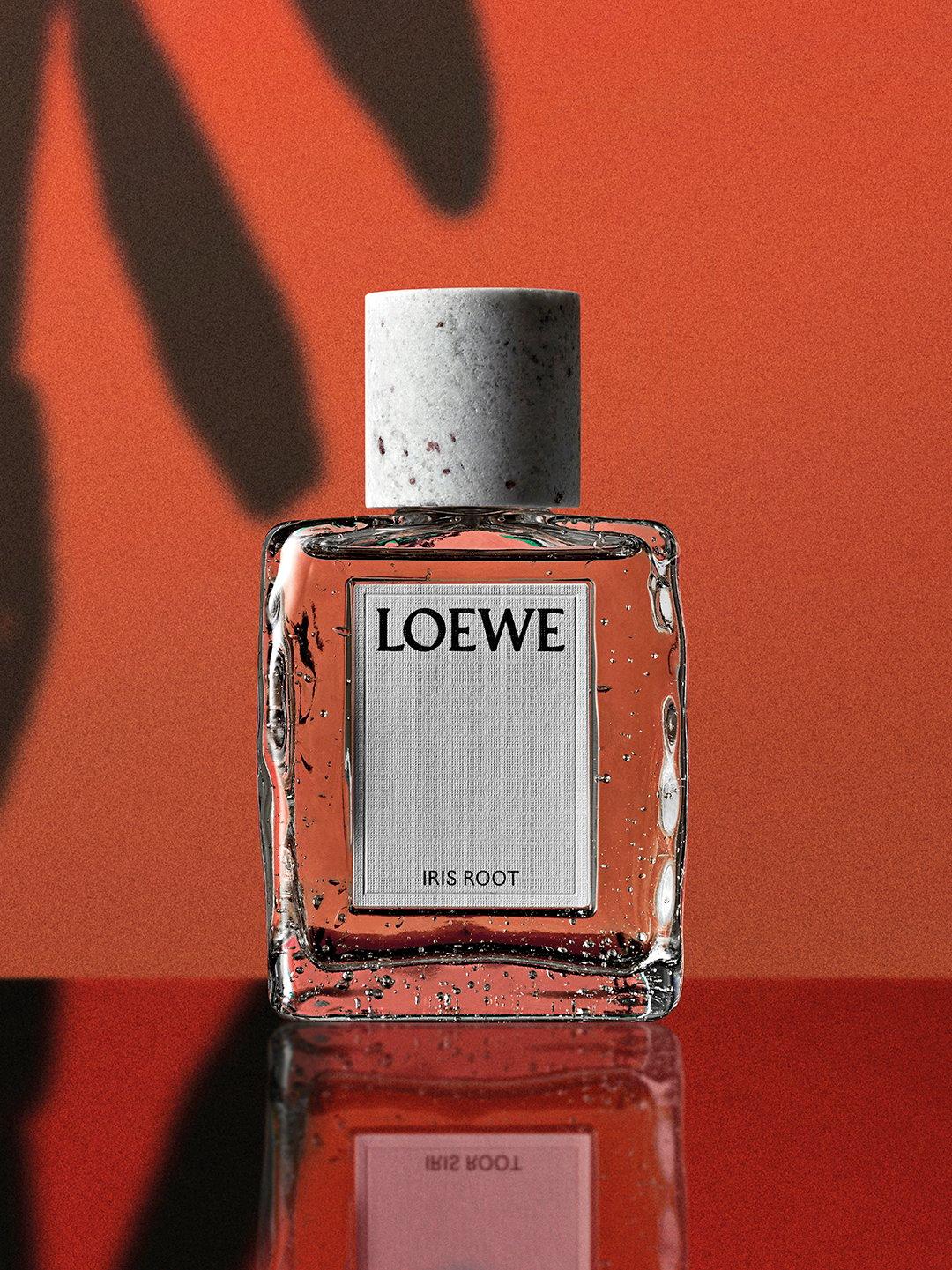Iris Root by Loewe Loewe