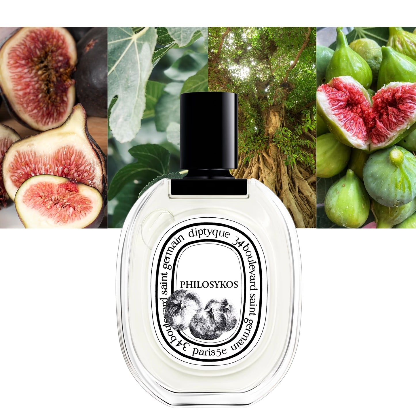 Diptyque Philosykos Diptyque