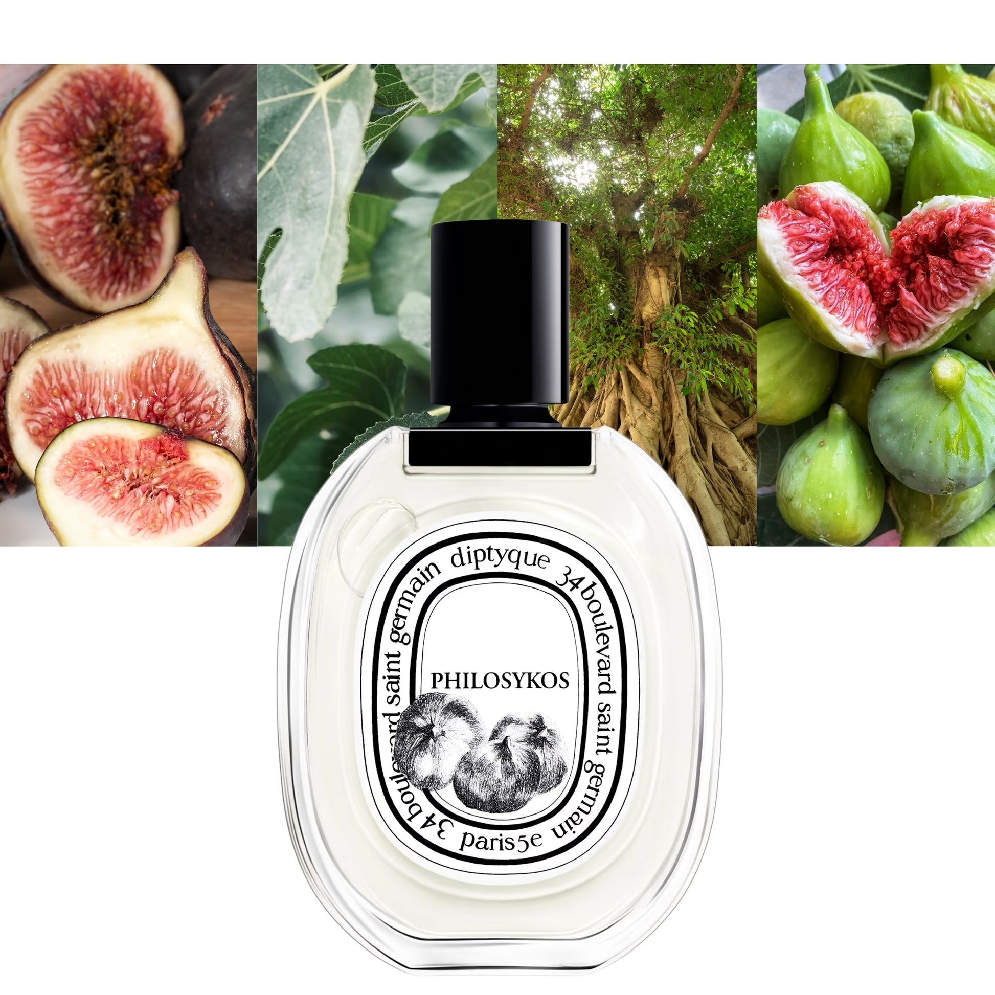 Diptyque Philosykos Diptyque