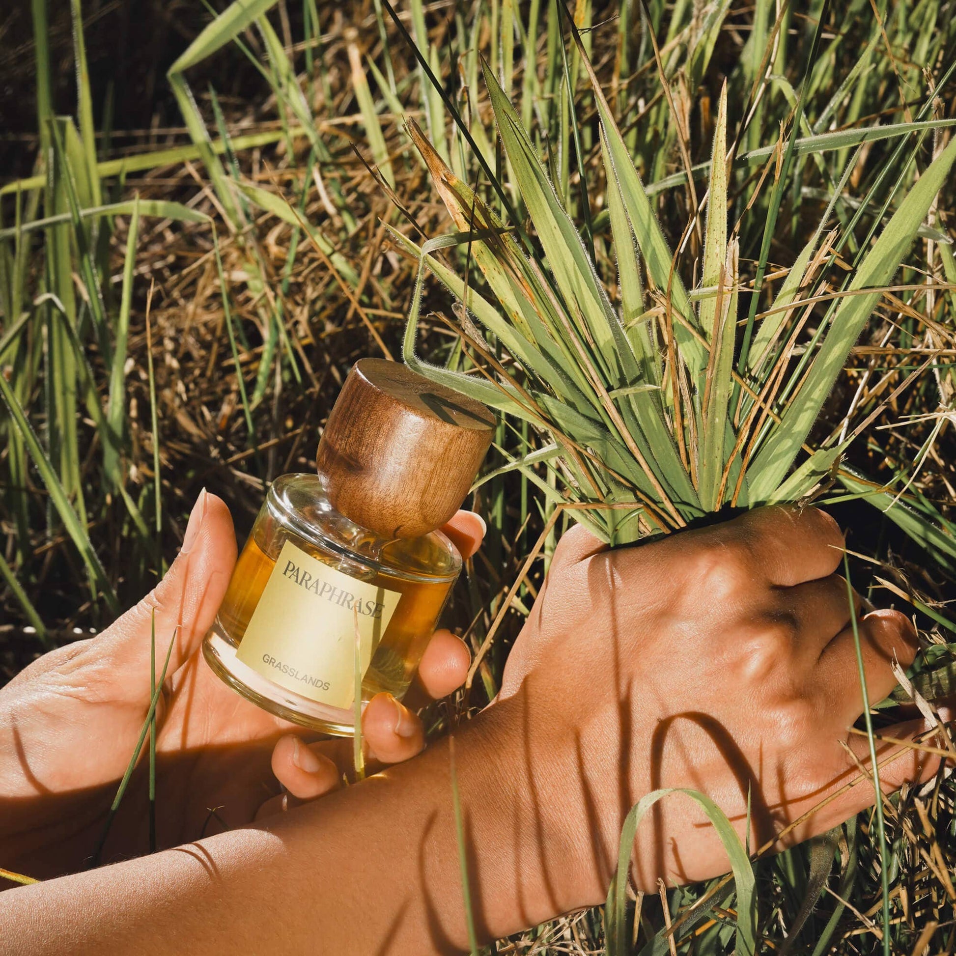 GRASSLANDS | GOLDEN GRASSY HERBS: 50 ml Paraphrase Perfume