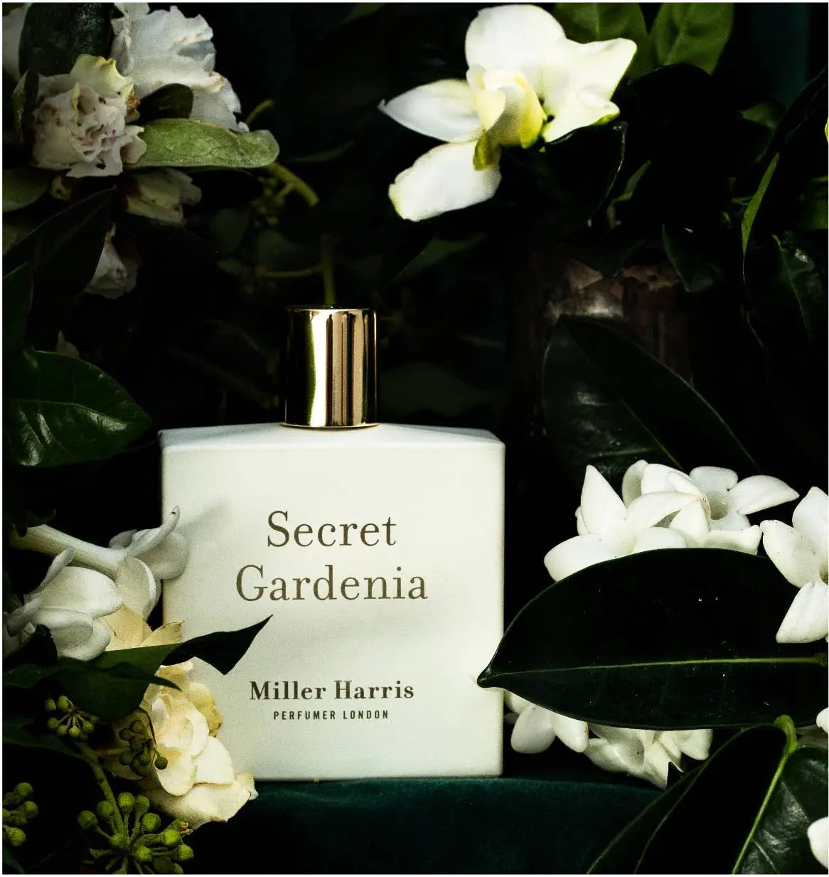Secret Gardenia - A floral, aquatic fragrance: 50ml Miller Harris Perfumer London