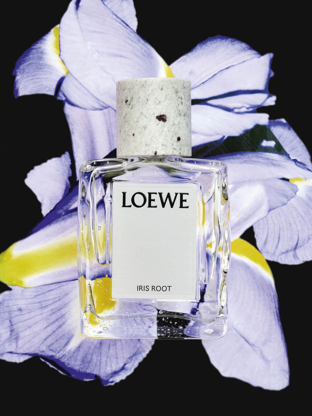 Iris Root by Loewe Loewe