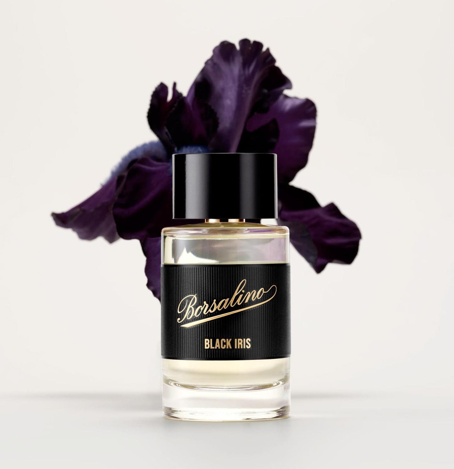 Black Iris by Borsalino Borsalino