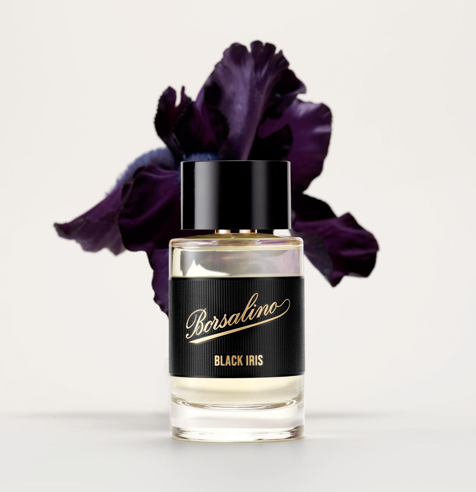 Black Iris by Borsalino Borsalino